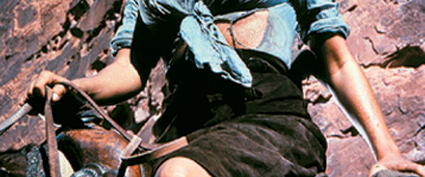 The Professionals background