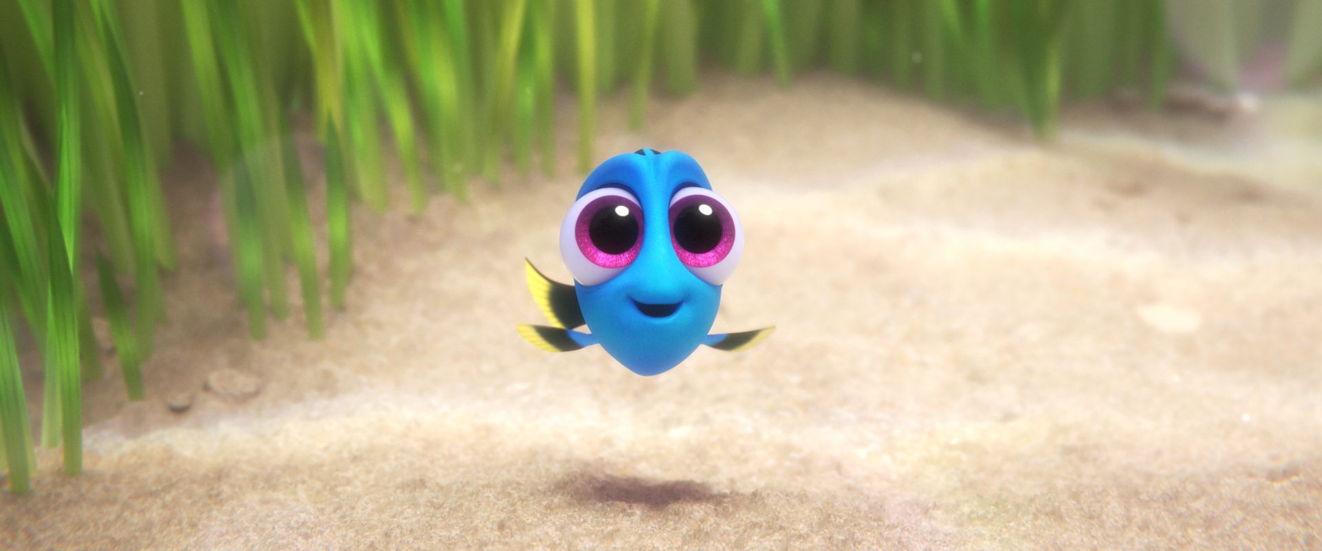 Finding Dory background