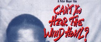Can't You Hear the Wind Howl? The Life & Music of Robert Johnson background