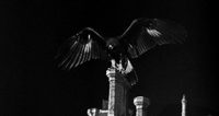 Night of the Eagle poster