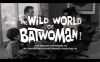 The Wild World of Batwoman poster