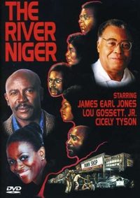 The River Niger poster