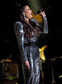Idina Menzel: Which Way to the Stage? poster