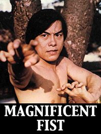 Magnificent Fist poster