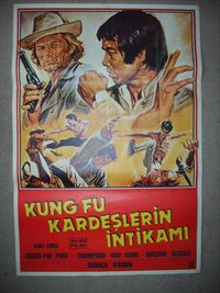 Kung Fu Brothers in the Wild West poster