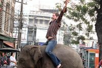 The Elephant King poster