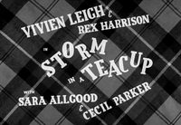 Storm in a Teacup poster