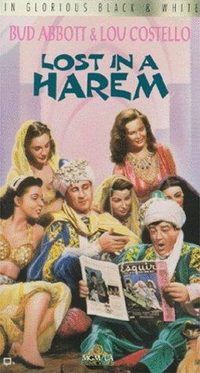 Lost in a Harem poster