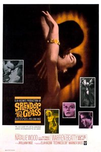 Splendor in the Grass poster