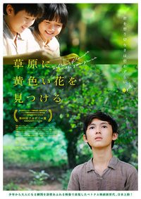 Yellow Flowers On the Green Grass poster