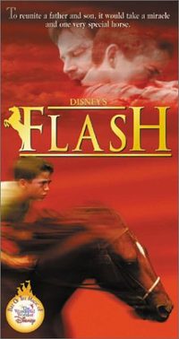 Flash poster
