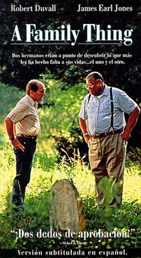 A Family Thing poster