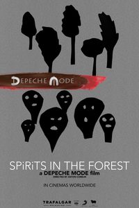 Spirits in the Forest poster
