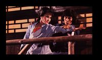 Tai Chi Shadow Boxing poster