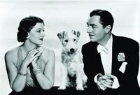 After the Thin Man poster