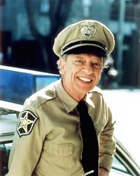 Return to Mayberry poster