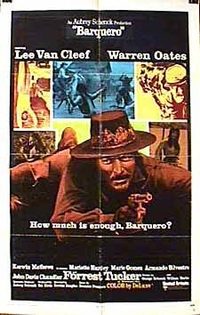 Barquero poster
