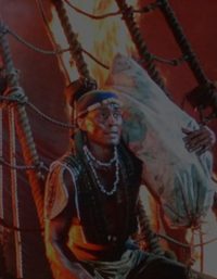The Buccaneer poster