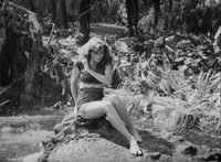 Tarzan and the Huntress poster