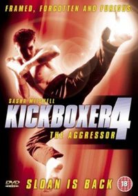 Kickboxer 4: The Aggressor poster