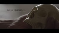 Forced Perspective poster