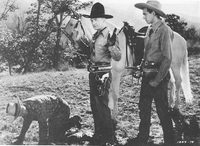 Three Men from Texas poster