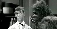 Bela Lugosi Meets a Brooklyn Gorilla poster
