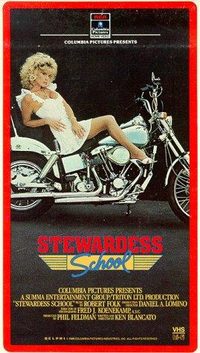 Stewardess School poster