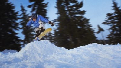MXP: Most Xtreme Primate poster