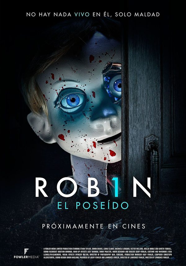 ROB1N poster