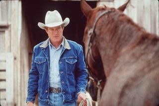 The Horse Whisperer still 7