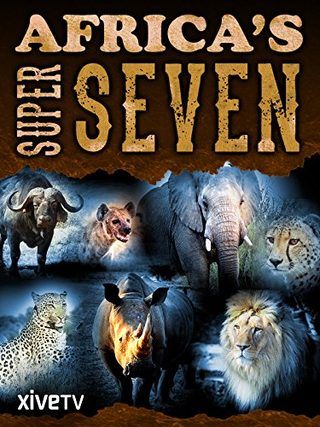 Africa's Super Seven still 1