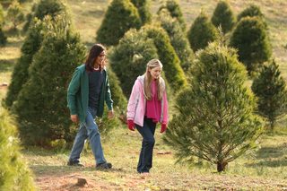 An Evergreen Christmas still 5