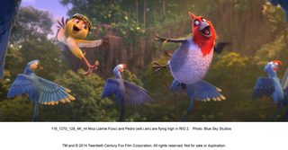Rio 2 still 3