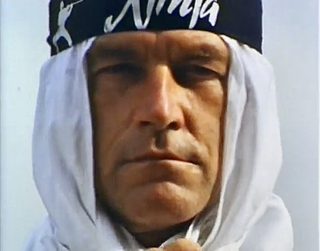 Ninja Commandments still 3