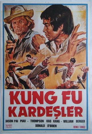 Kung Fu Brothers in the Wild West still 2