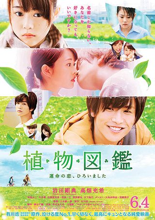 Evergreen Love still 1