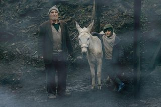 Cinema Donkey still 7