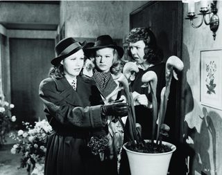 Kitty Foyle still 3