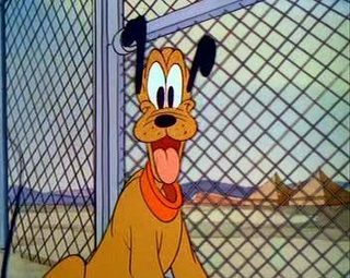 The Army Mascot still 3
