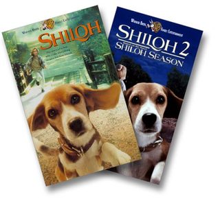 Shiloh still 3