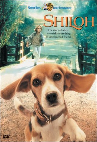 Shiloh still 8