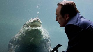 Crocodile still 3
