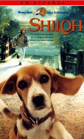 Shiloh still 2