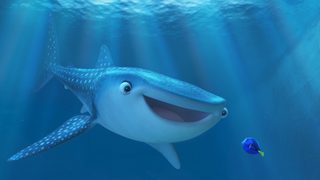 Finding Dory still 8