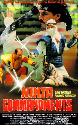 Ninja Commandments still 8