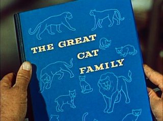 The Great Cat Family still 5